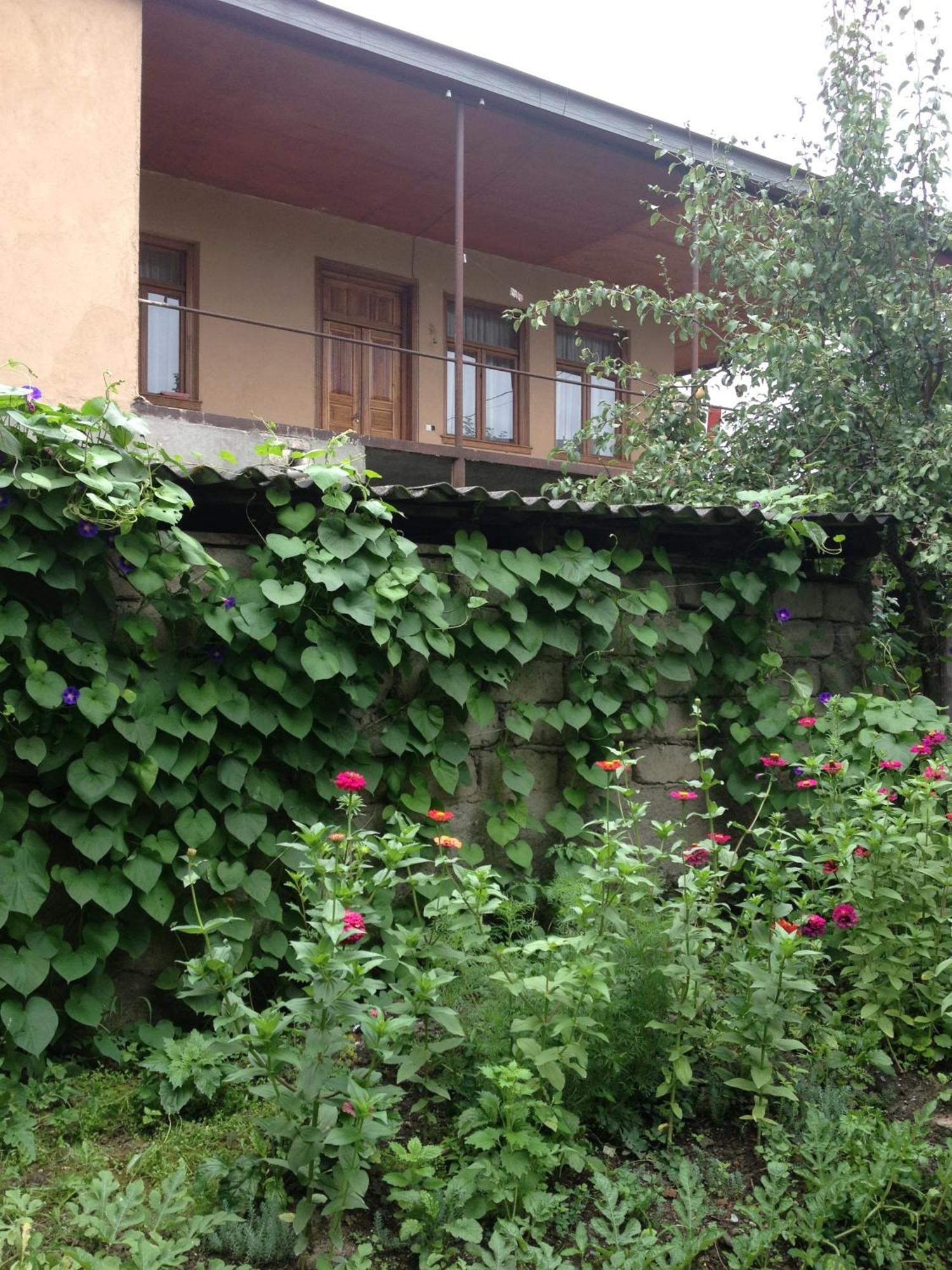 Guesthouse "Kistauri" Telavi Exterior photo